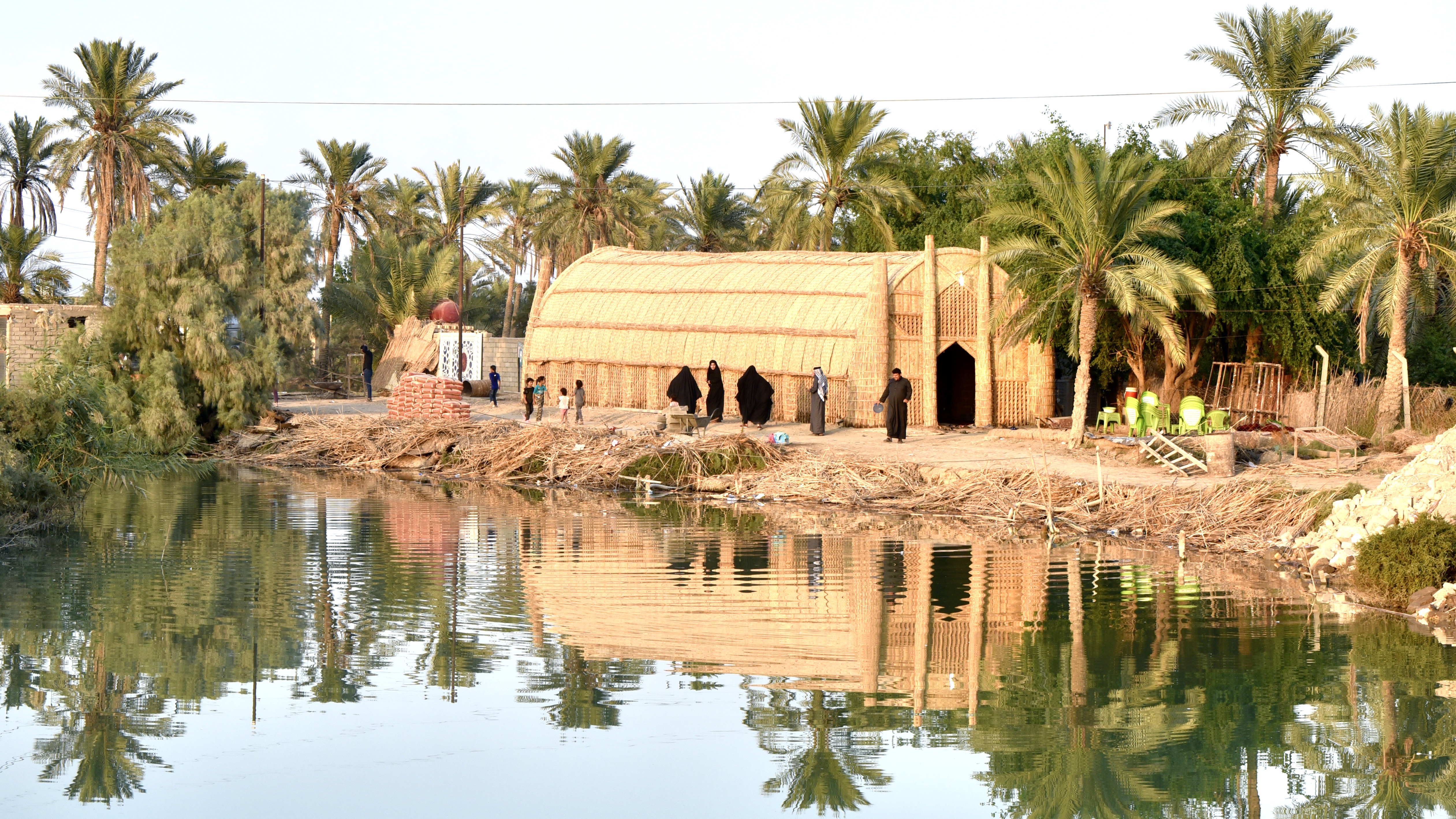 A newly inaugurated mudhif, its reeds still a fresh, unweathered yellow