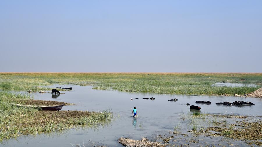 في صور - عودة بعد 45 عاماً إلى الأهوار العراقية Iraqi marshes