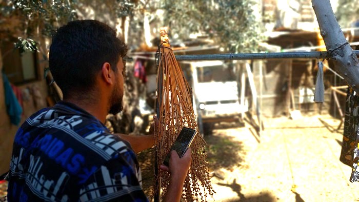 Palestinian stares at his phone and waits for a message