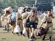 Pakistanisches Militär beim Hilfseinsatz in Muzaffarabad, Foto: AP