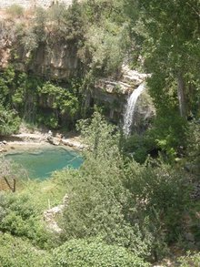 Das Becken an der Quelle des Adonis-Flusses in Afqa; Foto: Mona Naggar