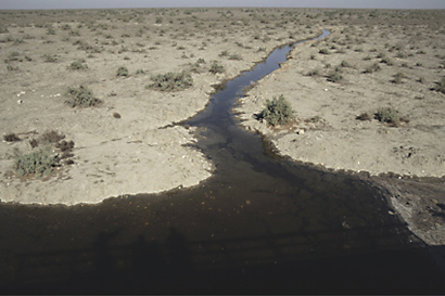 The Restoration of the Iraqi Marshlands