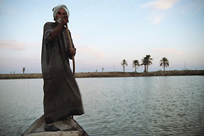 The Restoration of the Iraqi Marshlands