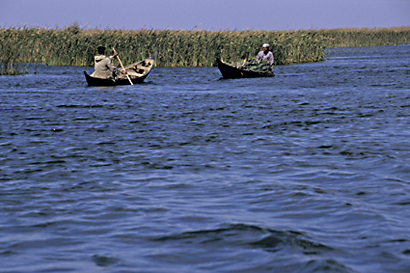 The Restoration of the Iraqi Marshlands