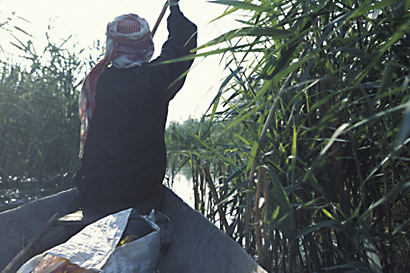 The Restoration of the Iraqi Marshlands