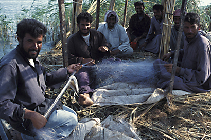 The Restoration of the Iraqi Marshlands