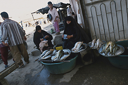 The Restoration of the Iraqi Marshlands