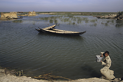 The Restoration of the Iraqi Marshlands