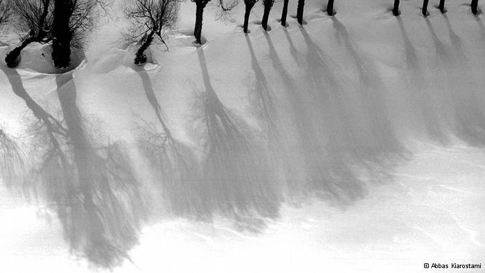 Bäume im Schnee