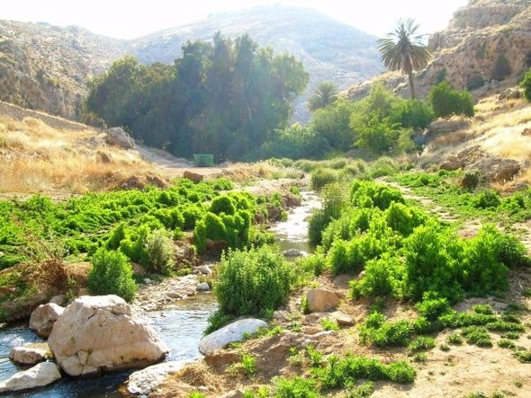 Das Wadi Qelt; Foto: wikipedia