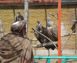 A Pashtun visitor to the zoo in Kabul (photo: Marian Brehmer)