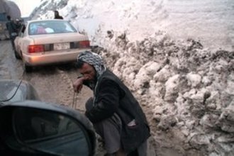 الصورة ماريان بريمر