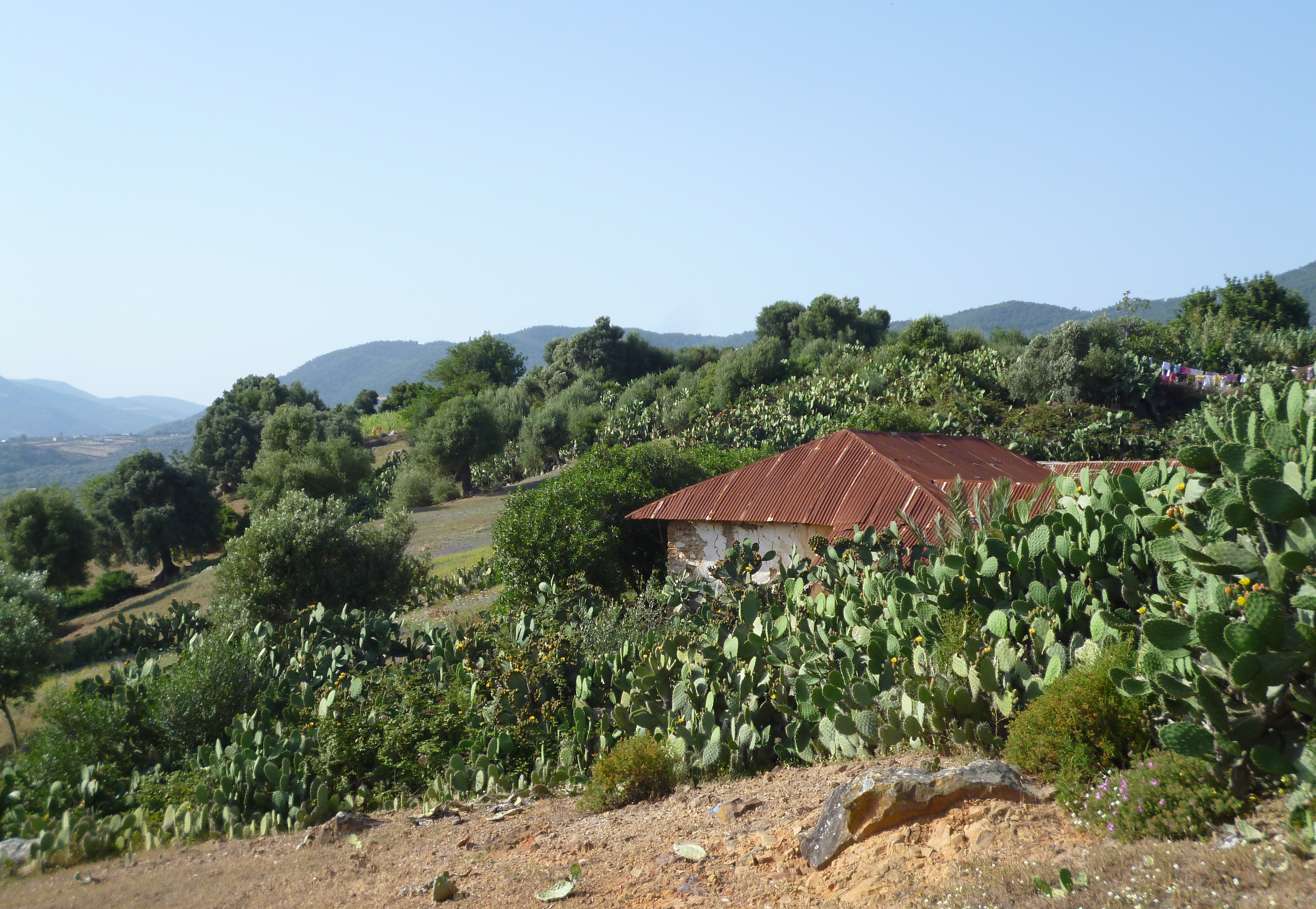 Das Dorf Joujouka; Foto: Arian Fariborz