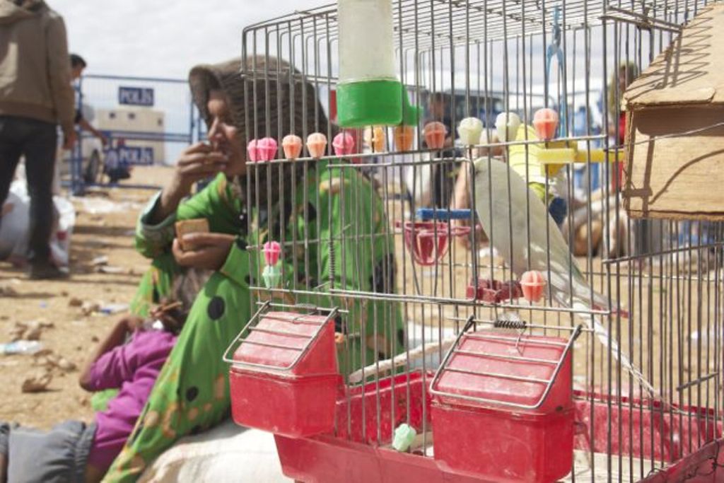 A refugee woman and child sit beside a bird cage, Yumurtalik, Turkey (photo: Kiran Nazish)