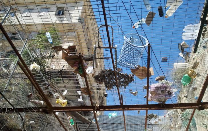 A metal grille spanning Al-Shallalah Street in Hebron protects pedestrians from the refuse thrown down on the street by militant settlers (photo: Susanne Kaiser)