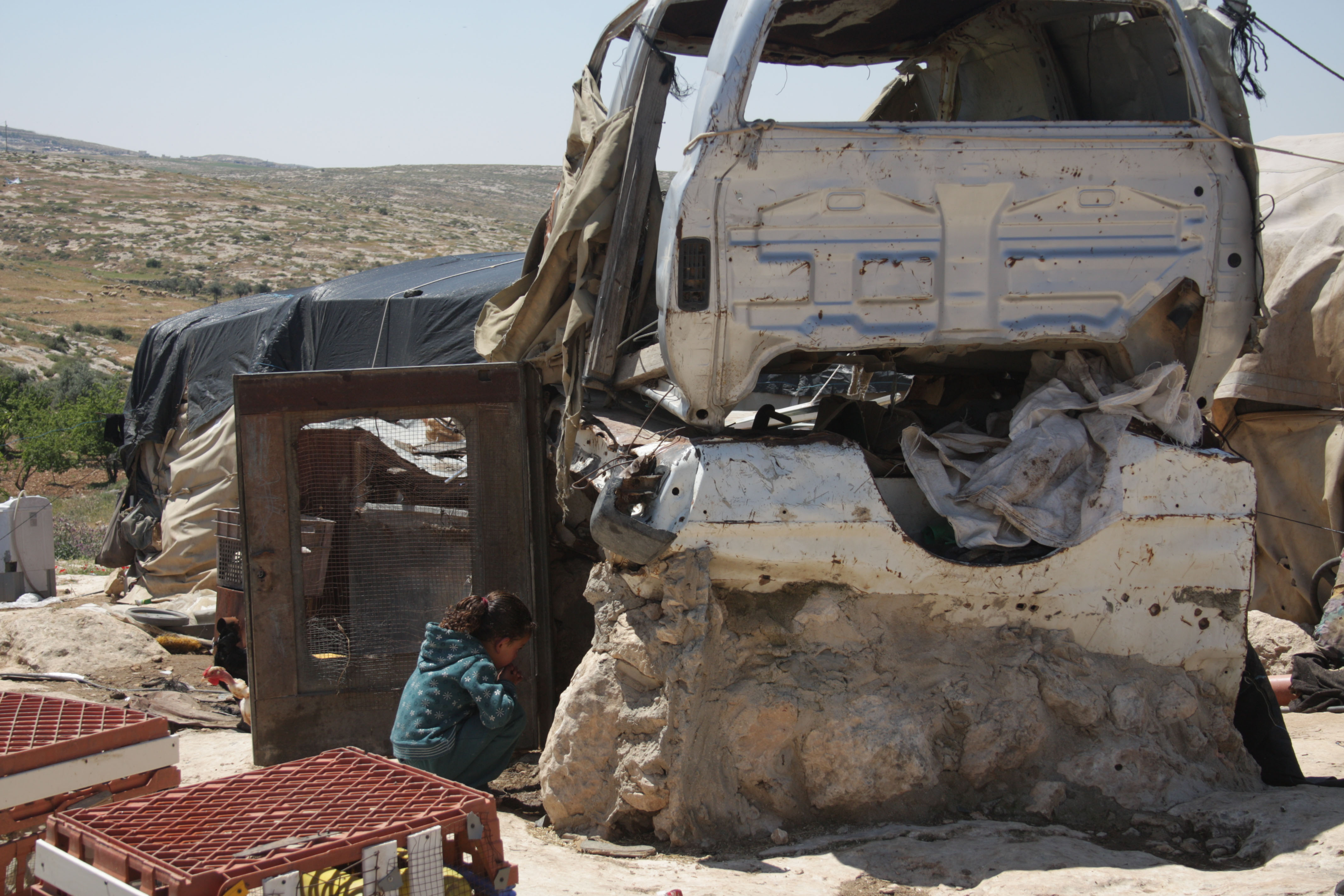 A temporary animal shelter in the village of Susiya (photo: Ylenia Gostoli)