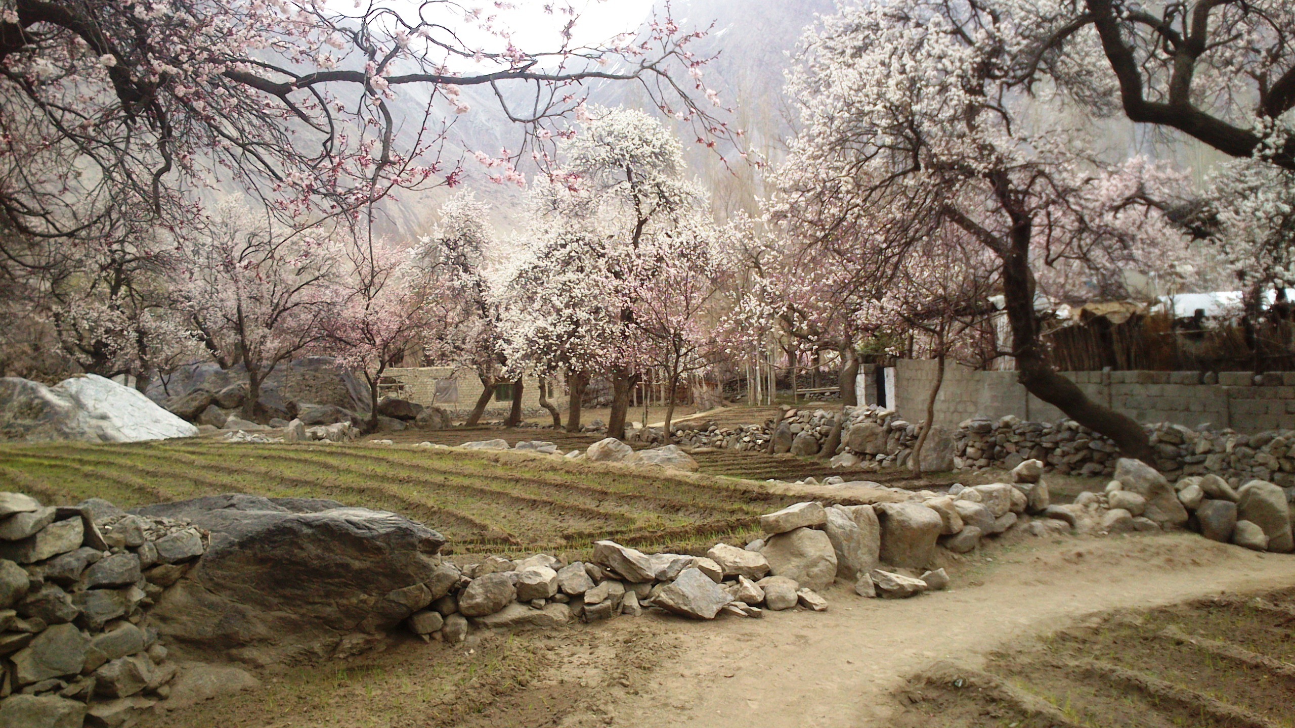 Dorf am Upper Kachura Lake, Skardu, Gilgit-Baltistan, Pakistan. Foto: Julis Koch