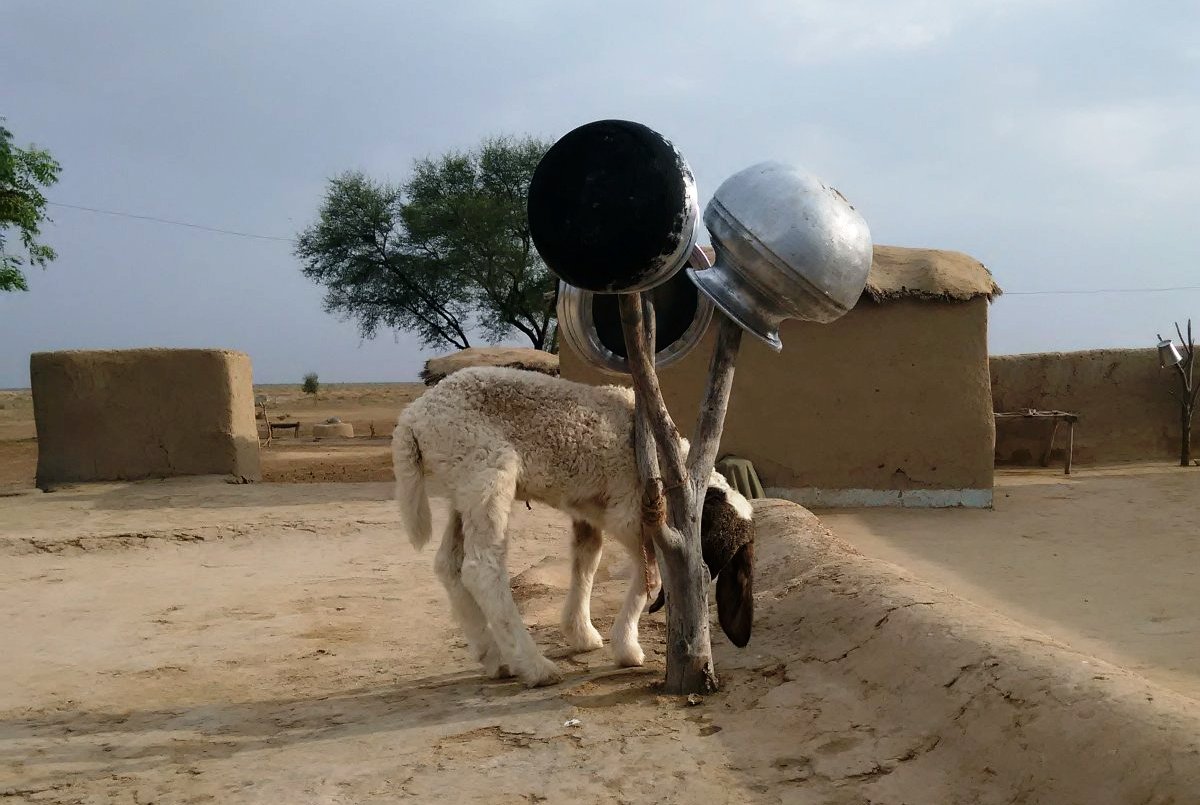 Wasserbehälter zum Trocknen am Baumstumpf aufgehängt. Foto: Usman Mahar