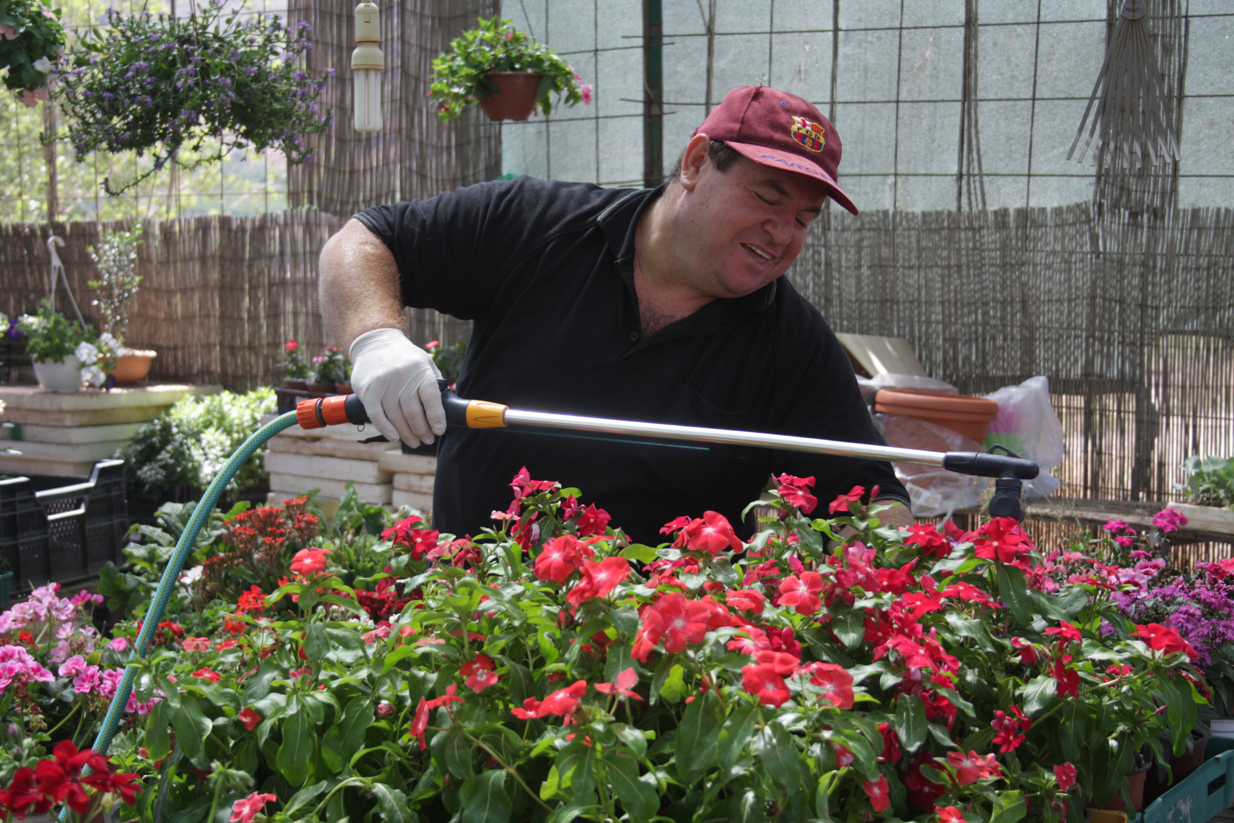 Samir Owidat in his flower shop in Majdal Shams (photo: Ylenia Gostoli)