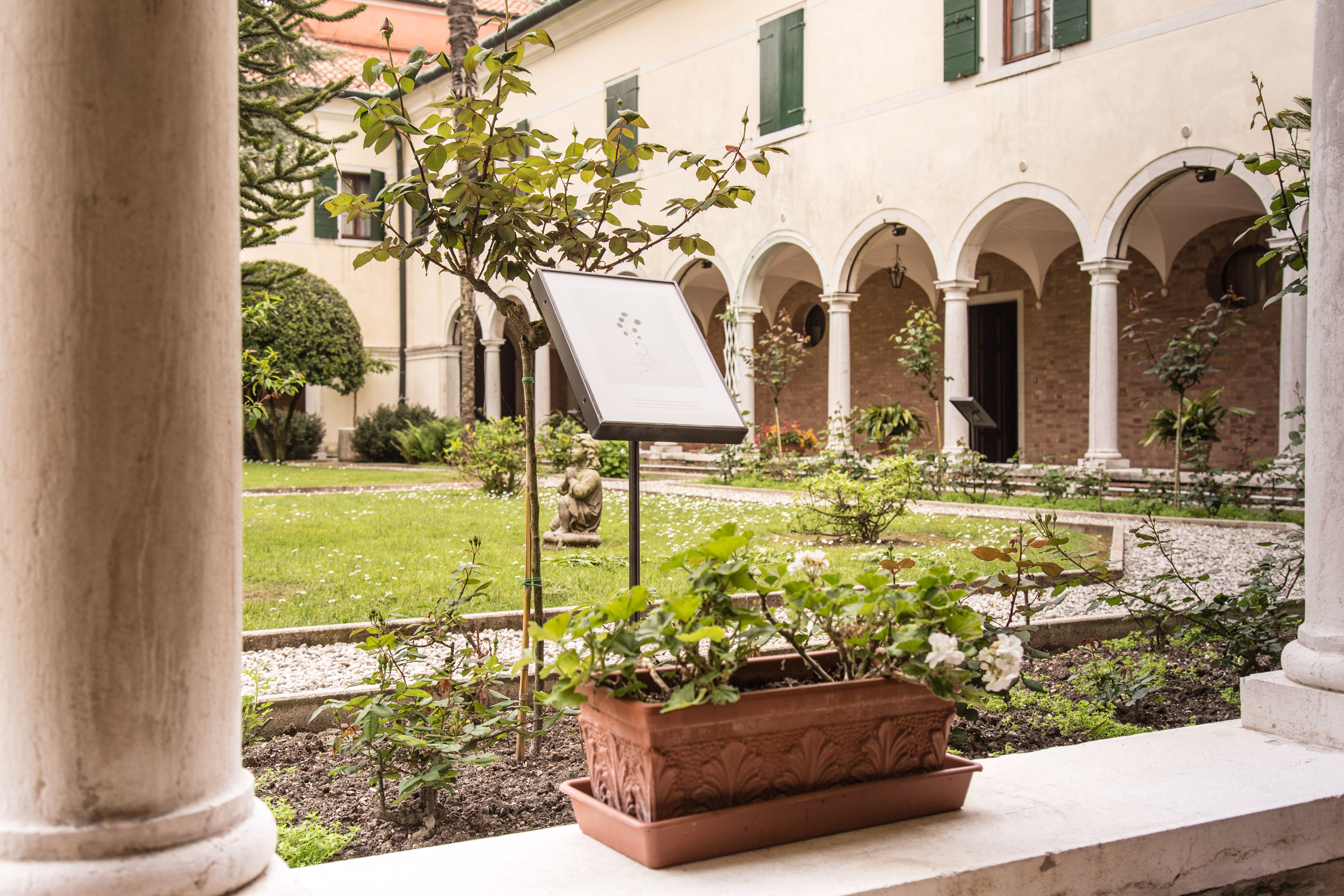 From the series Por que Daninhas? / Why Weeds?,  2006-2015 by Rosana Palazyan. Plants and embroidery with thread and human hair on fabric, 25 x 20 cm each. Installation view, Mekhitarist Monastery of San Lazzaro degli Armeni, Venice. Private collection (© Piero Demo)