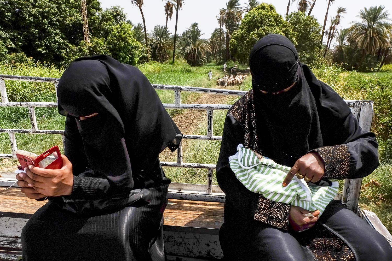 West Suheili women on the local form of public transport – a pick-up truck (photo: Maya Hautefeuille)