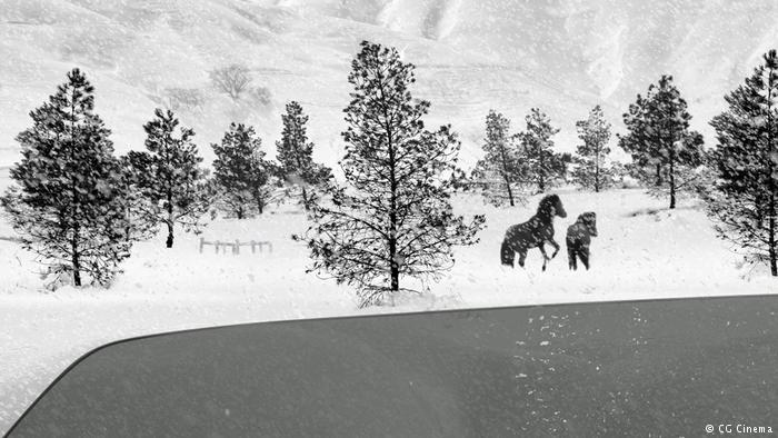 Film still from "24 Frames" by Abbas Kiarostami (photo: CG Cinema)