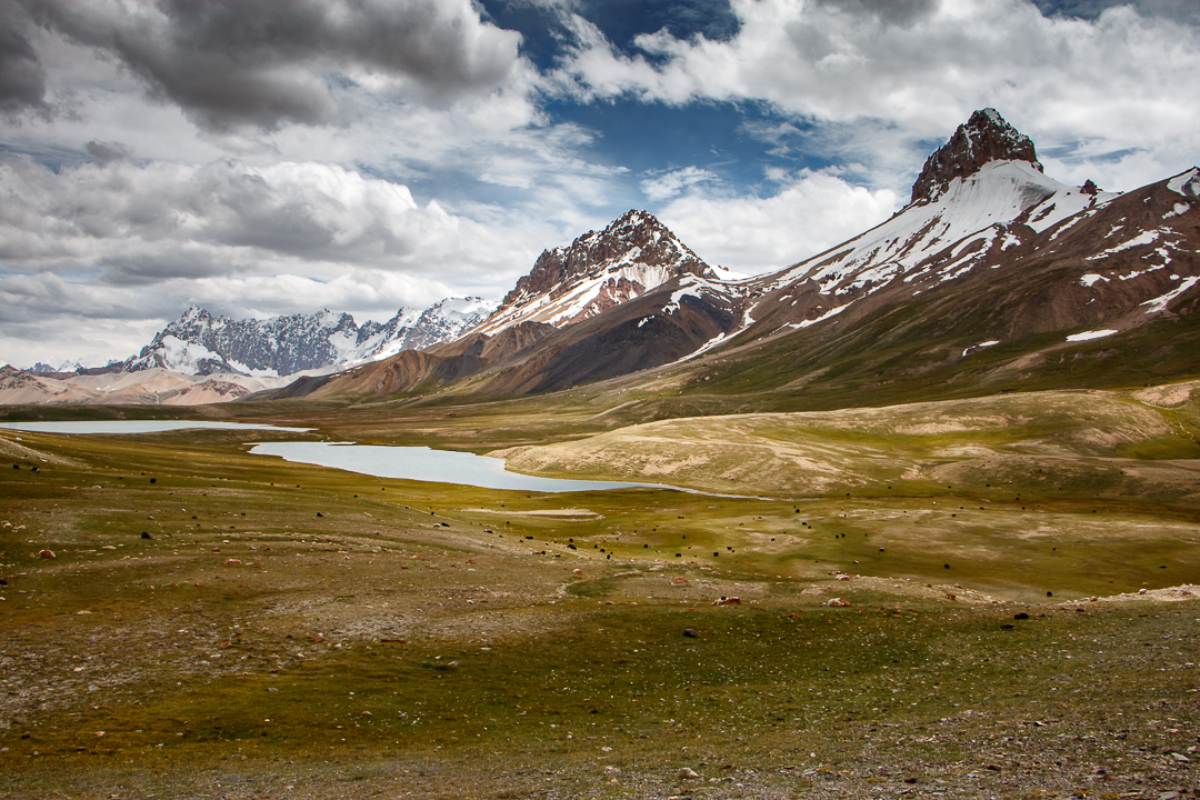 Yaks graze in Shimshal Pamir, in the Karakoram range (photo: Camille Del Bos)