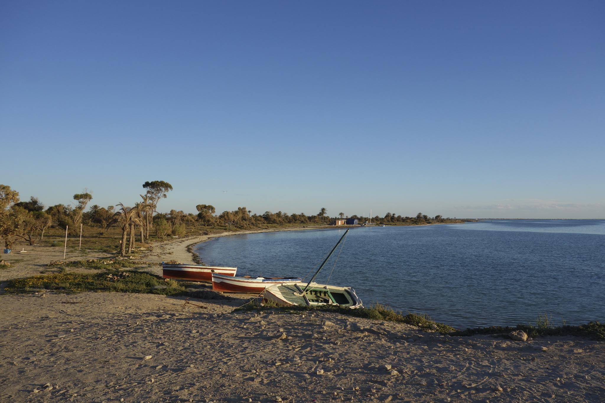 Ein Stück unberührte Küste auf Djerba.  (Foto: Philipp Poppitz/Creative Commons 4.0; https://creativecommons.org/licenses/by/4.0/) 