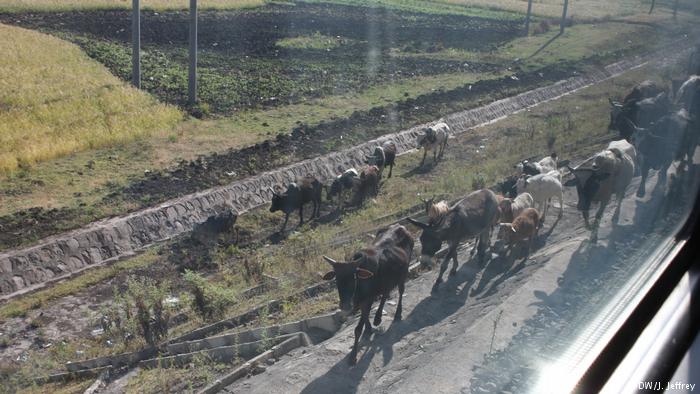 Rural Ethiopia as seen from the train (photo: DW/J. Jeffrey)