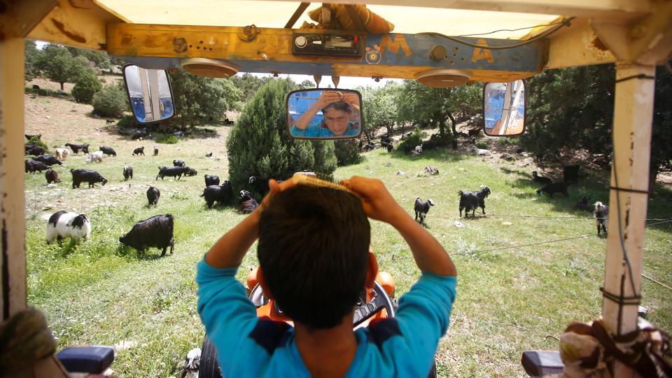 Yunus Gobut kämmt sich seine Haare in einem Traktor; Foto: Reuters/Osman Orsal