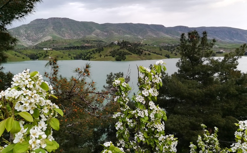 منظر جبلي طبيعي قرب مدينة السليمانية في كردستان العراق.  Foto: Dara Alani