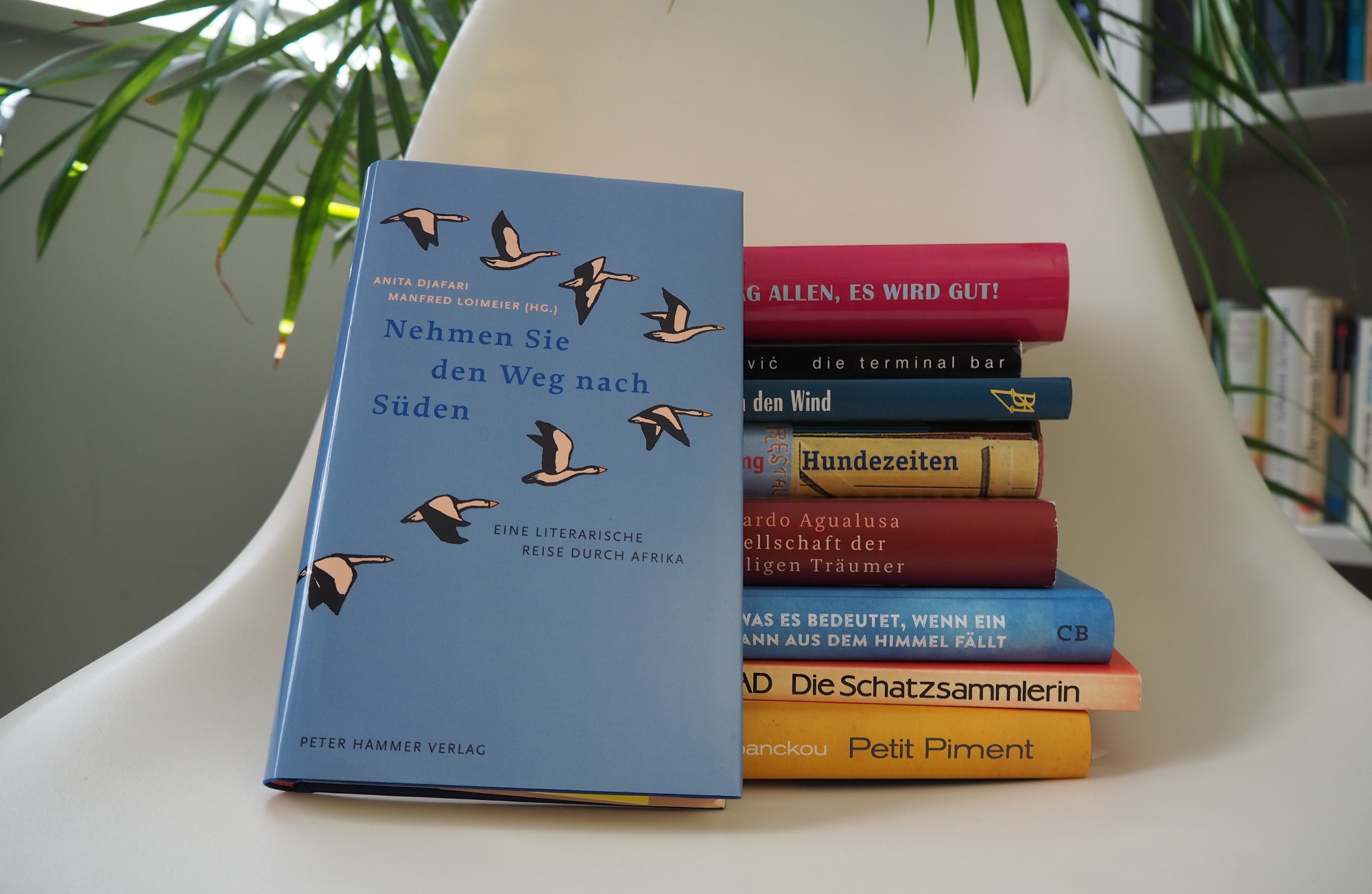 Bücher im Peter Hammer Verlag, die zum 40. Litprom-Geburtstag erschinen sind; Quelle: Litprom