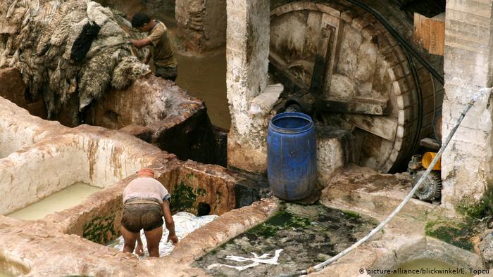 Chouara tannery in the heart of Fez (photo: picture-alliance/blickwinkel/E. Topcu)