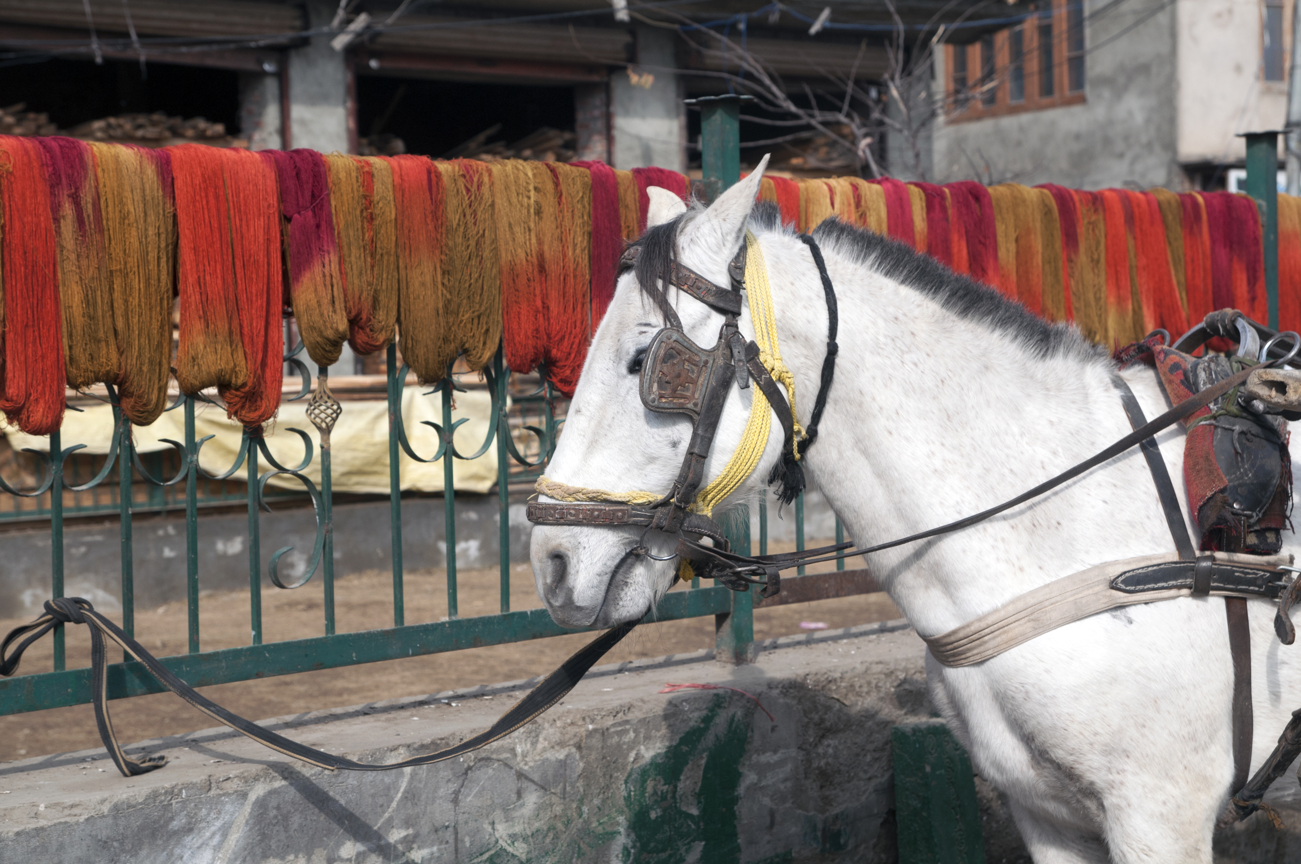 Yarns hung over the railings in Srinagar (photo: Sugato Mukherjee)