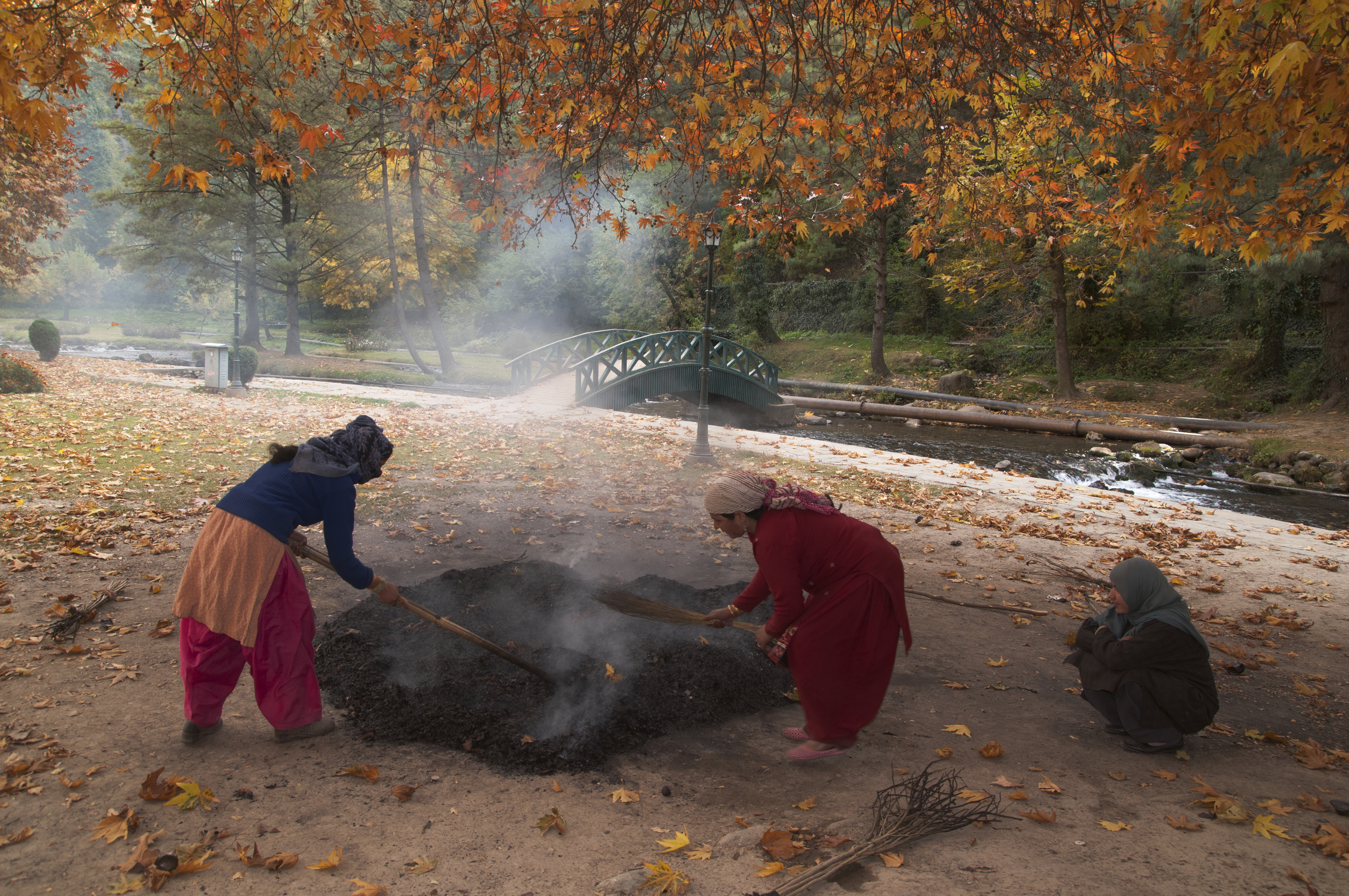 Zu Winteranbruch sammeln Dorfbewohnerinnen trockene Platanenblätter. Foto: Sugato Mukherjee