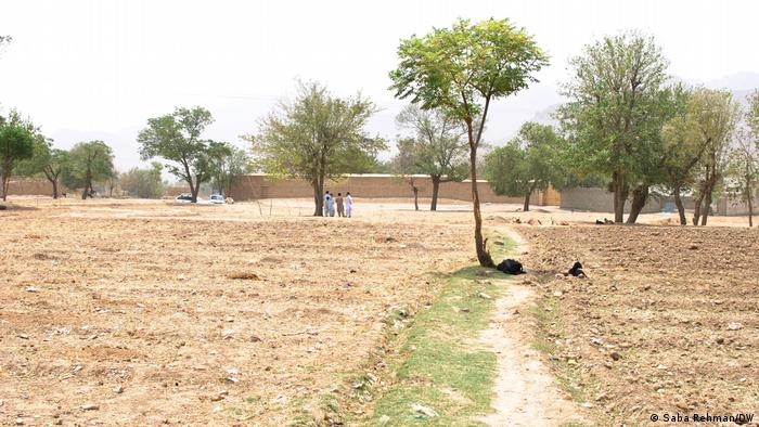 Not losing hope: Baswaliha struggles to make ends meet. Her village lacks basic facilities, such as gas, steady electricity and the Internet. After the death of her son and husband, Baswaliha didn't lose hope. She did not want to live off government aid – a meagre 10,000 rupees (€53/$62) per month – that stopped in 2014 (photo: S. Rehman/DW)