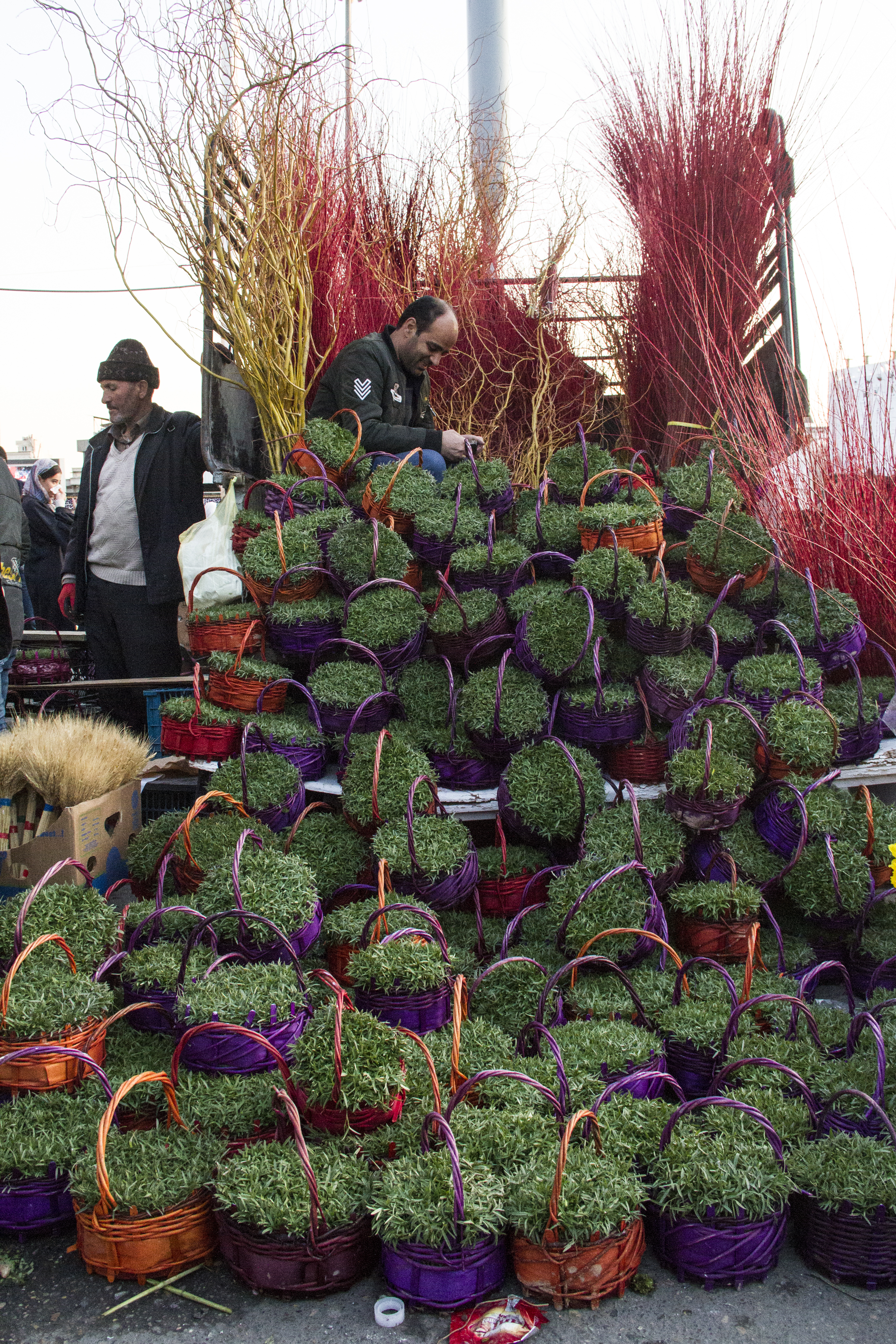 Market stall selling sabzeh (photo: Changiz M. Varzi)