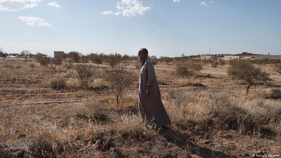 فقد مزارع الزيتون أحمد محمود حوالي 3000 شجرة بسبب الجفاف في هذا العام 2021. Olive farmer Ahmad Mahmoud Alahri has lost around 3,000 trees due to drought this year (photo: Daniela Sala/DW) 