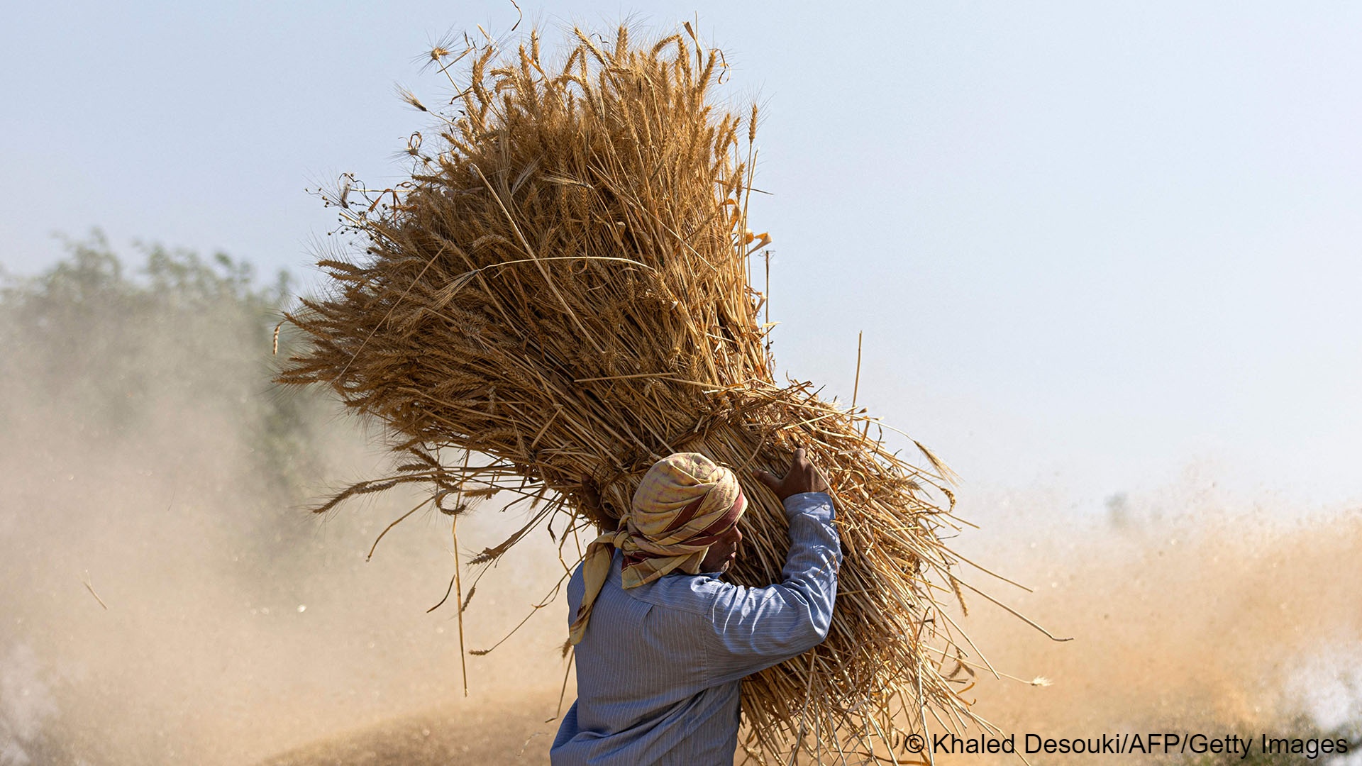 The world is facing overlapping conflict, food, energy and economic crises that have diverted political attention from climate change.