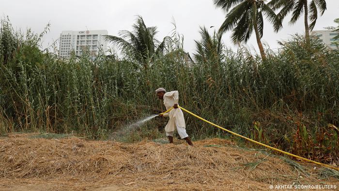 Planting inititatives in Pakistan (photo: Reuters)