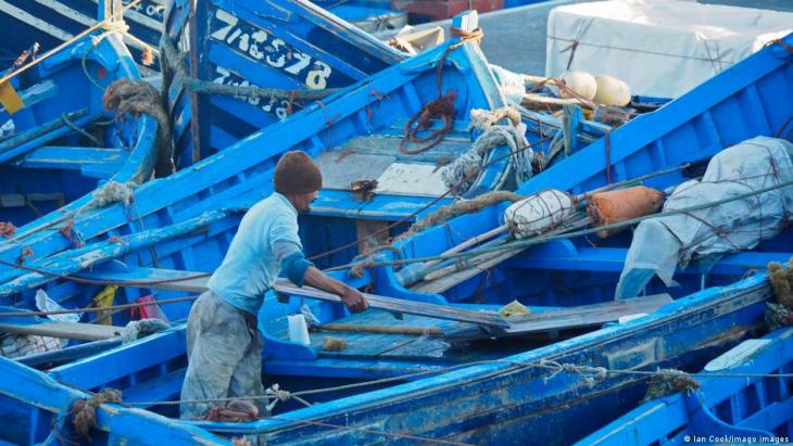 Moroccan fisherman tends to the boats in Essaouia (photo: Imago images)