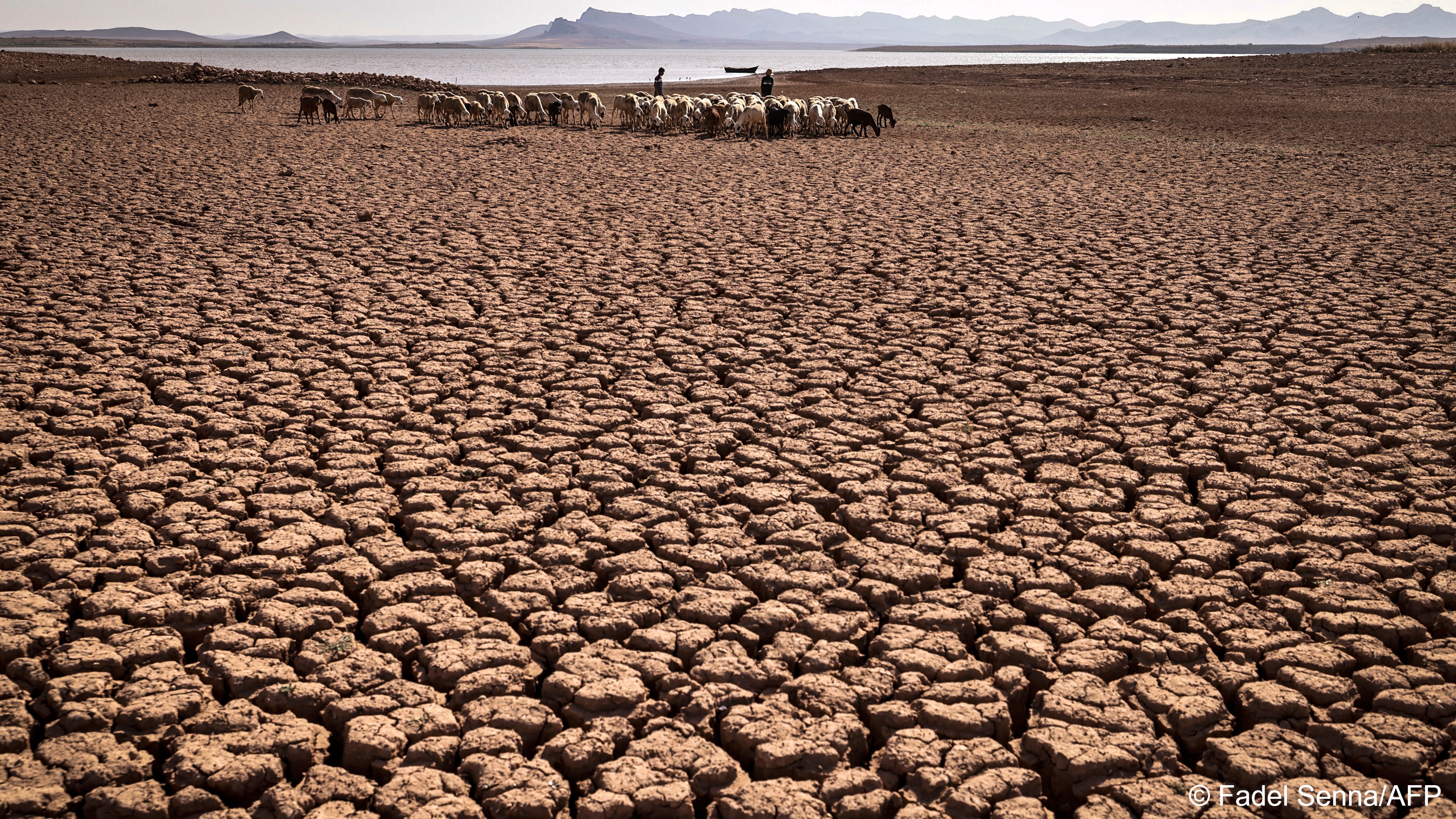 Climate change is threatening to displace millions of people in the Middle East (photo: FADEL SENNA/AFP/File)