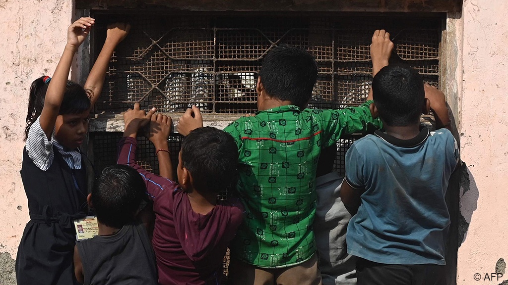 Children in Mumbai's Dharavi slums climb onto a window to catch a glimpse of a promotional event for a cartoon channel (photo: Indranil MUKHERJEE/AFP)