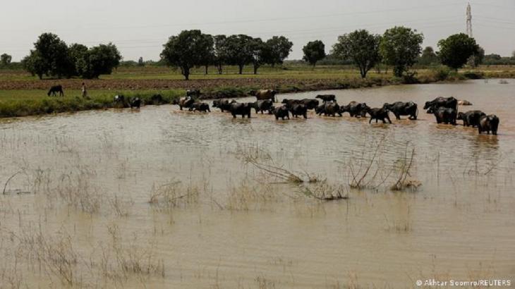 First the heat, then the flood (image: Akhtar Soomro/Reuters)