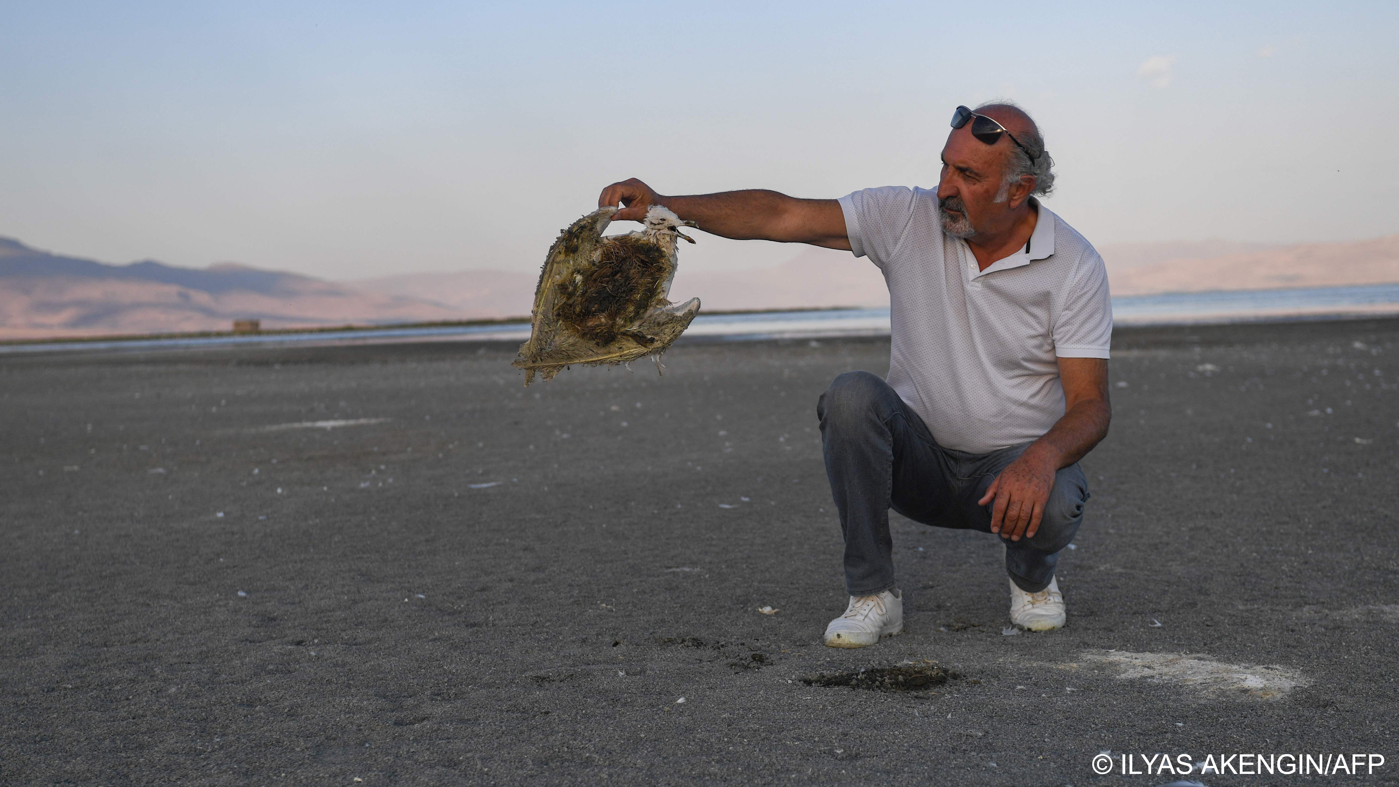 Turkey's largest lake: Lake Van covers approximately 3,700 square kilometres, reaching a maximum depth of 450 metres. Its surface area has shrunk by around 1.5 percent in recent years, according to measurements carried out last autumn