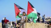 A young boy stands with two Palestinian flags either side of him. He holds up two fingers in a peace sign.V